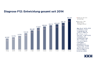 KKH_Grafiken Daten F12 Cannabis bis 2024