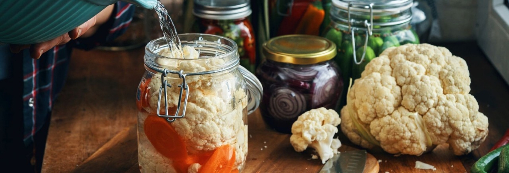 Fermentieren