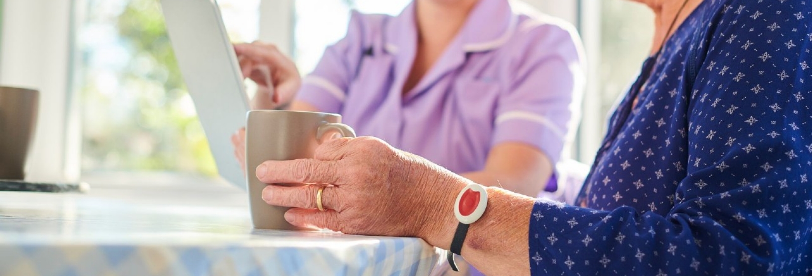 Hausnotruf und Hausnotrufsysteme