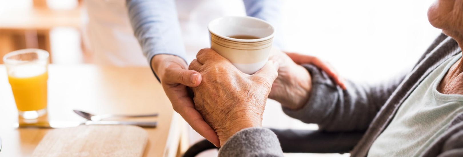 Pflegesachleistungen