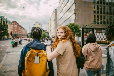 Hintergrund der DZPP