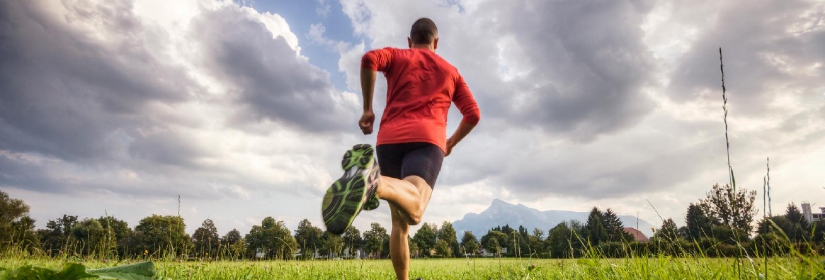 Digitaler Präventionspartner AIMO