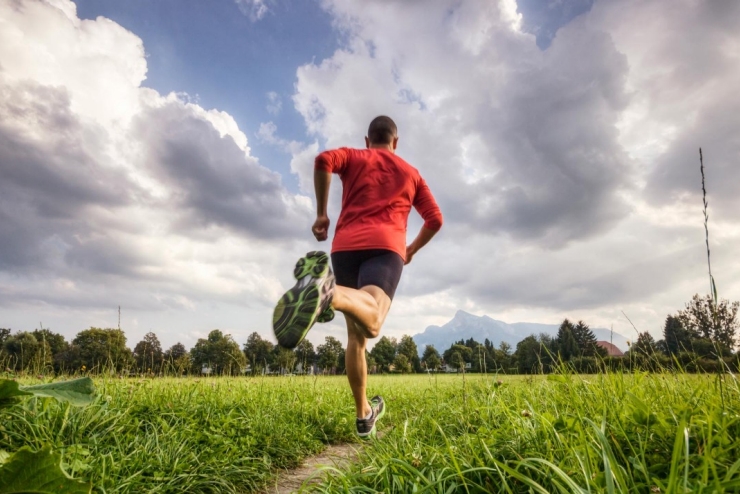 Digitaler Präventionspartner AIMO