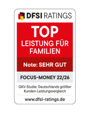 dfsi-leistungen-familien